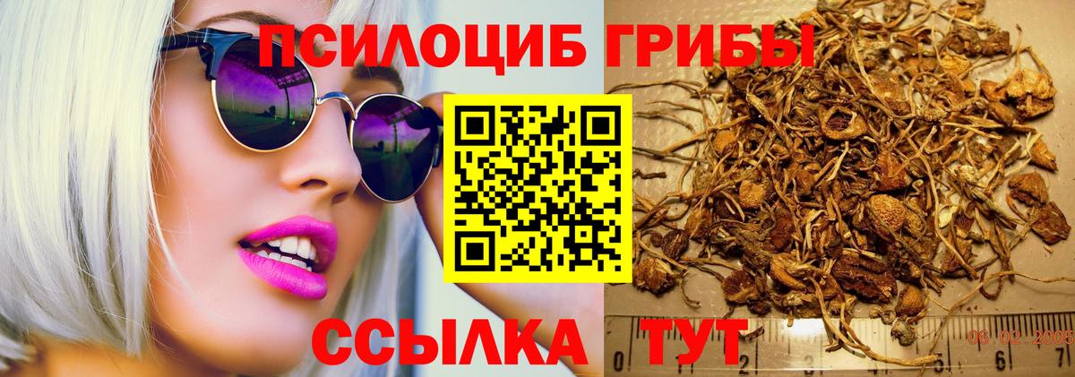 Codein Михайловск